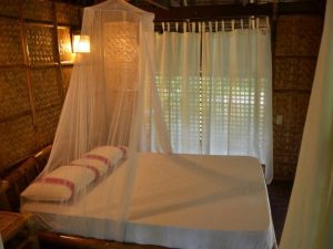 off boracay jungle adventure stay